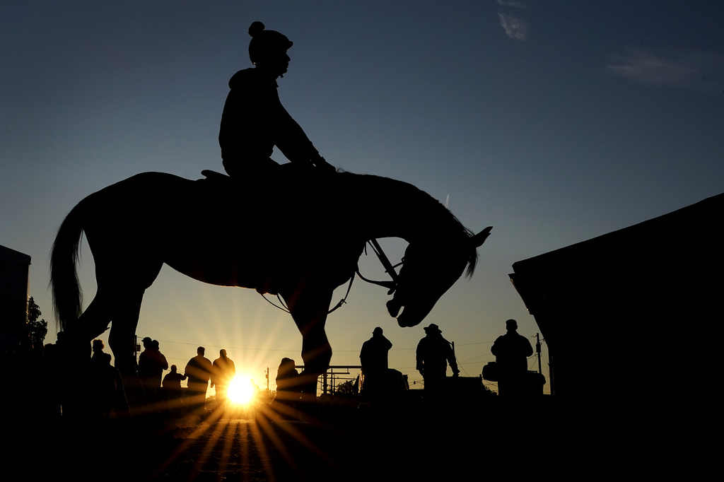 Thu. 8:51 a.m.: Churchill Downs investigates 4 horse deaths ahead of Derby | News, Sports, Jobs - Vimarsana News